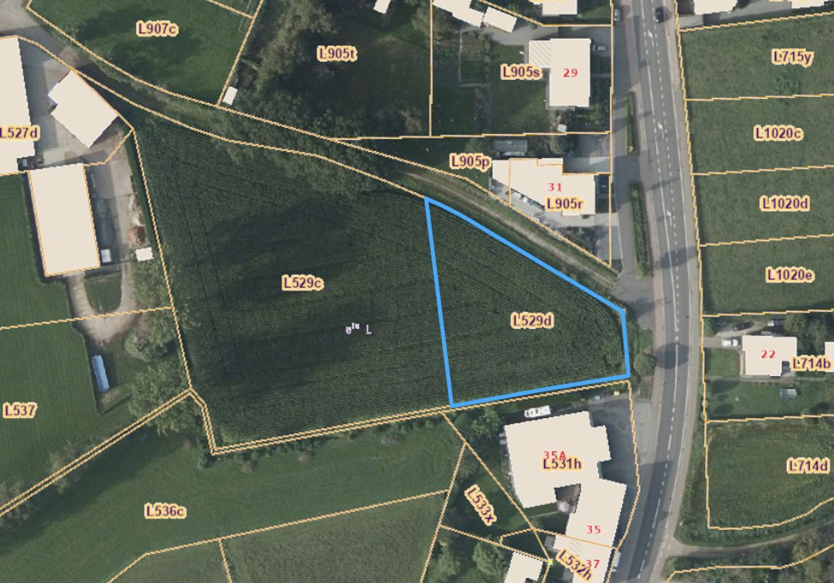 Bouwgrond met achtergelegen weiland in Geel - foto 1