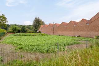 Op de Heirweg 42 in 8710 Wielsbeke vind je dit perceel bouwgrond met landelijk karakter en zonder bouwverplichting. Het perceel is 721 m² groot en...