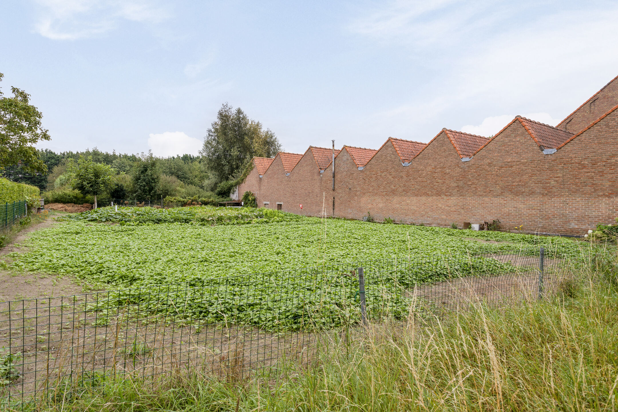 Bouwgrond geschikt voor open bebouwing in Wielsbeke - foto 1