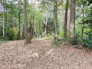 Bent u op zoek naar een ruim perceel in een groene en zeer rustige woonomgeving? Dit uitzonderlijk hoekperceel van maar liefst 4.000 m² biedt u...