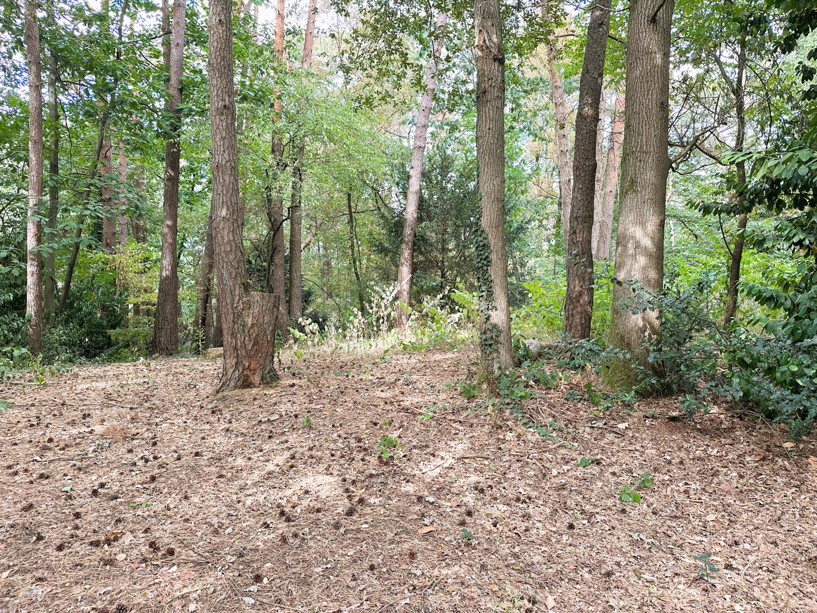 Terrain à vendre à Schilde - photo 3