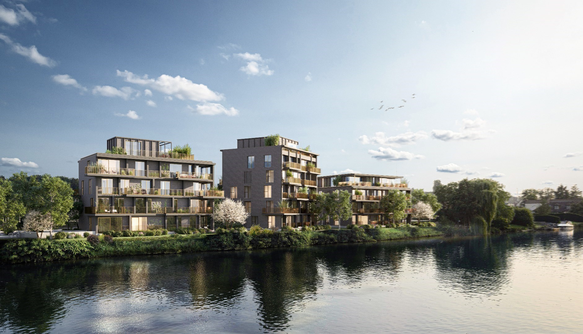 Lichtrijk appartement met 2 terrassen en Leiezicht - foto 5