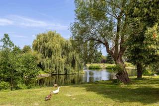 <p>Anderlecht, wijk Marius Renard naast het Parc des Etangs, gelegen op de 1e verdieping van een gebouw uit 1963, mooi appartement van ± 71 m² met groot terras. Momenteel verhuurd voor 793 € + 220 € aan servicekosten.</p>
<p><u>1e verdieping</u>:</p>
<ul>
<li>Entree</li>
<li>Woonkamer van ± 26 m² – Quick-Step</li>
<li>Terras van ± 20 m², op het westen</li>
<li>Slaapgedeelte</li>
<li>Toilet</li>
<li>Ingerichte keuken van ± 6 m²</li>
<li>Slaapkamer 1 van ± 13 m² – Quick-Step</li>
<li>Slaapkamer 2 van ± 9 m² – Quick-Step</li>
<li>Badkamer (bad, wastafel, ruimte voor wasmachine)</li>
</ul>
<p>Kelder nr. 1</p>