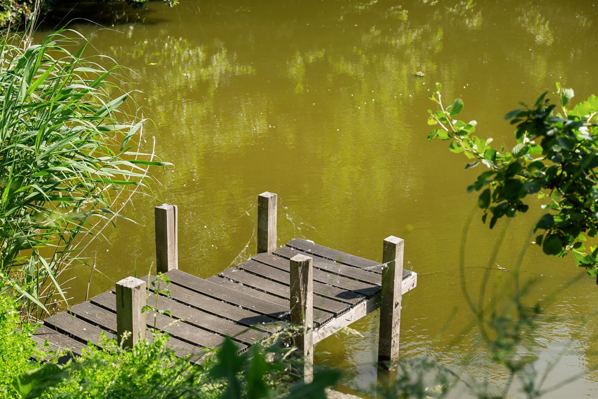 Exclusieve villa op unieke topligging aan een Scheldearm - foto 4