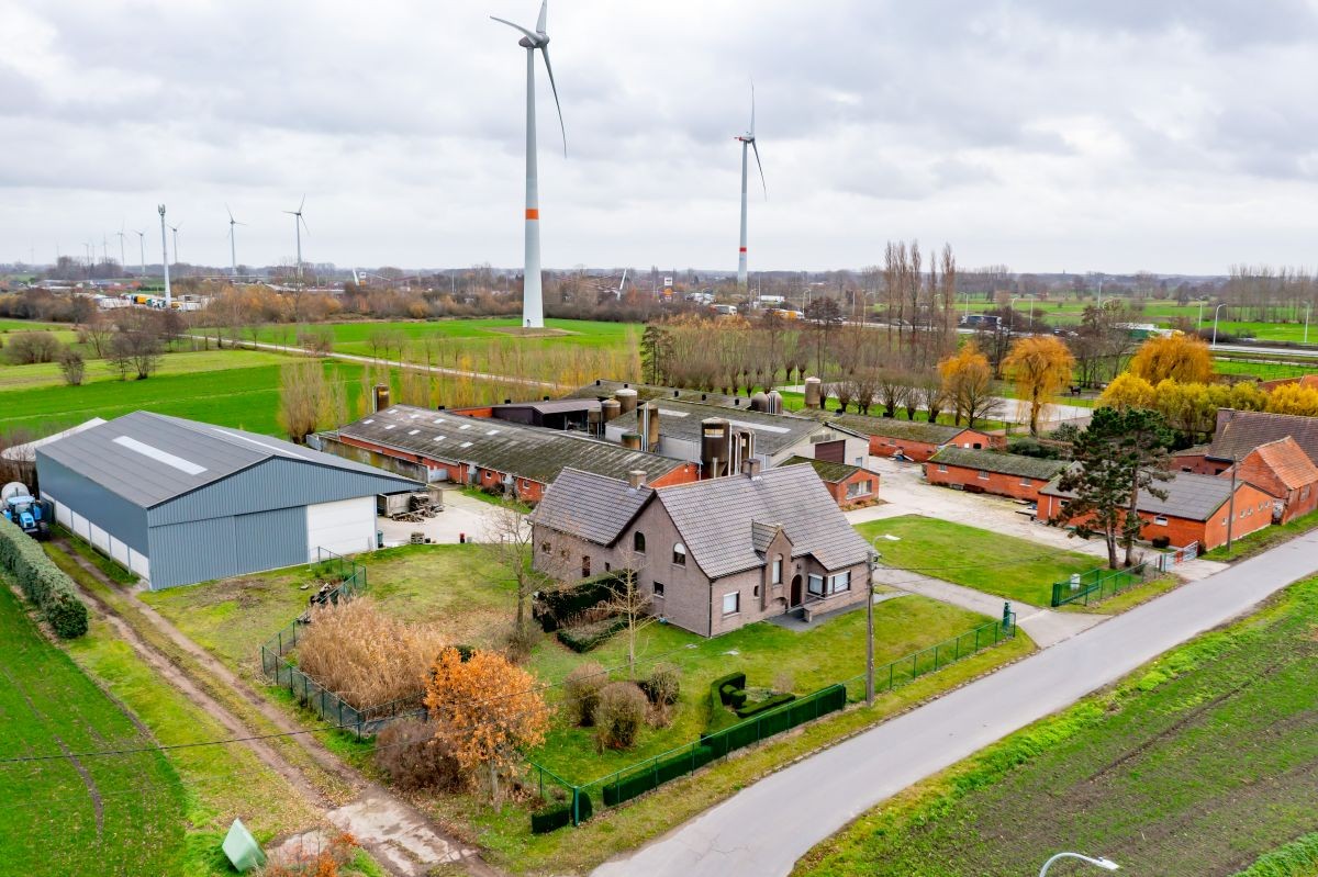 Varkensbedrijf te koop te Lochristi - foto 5