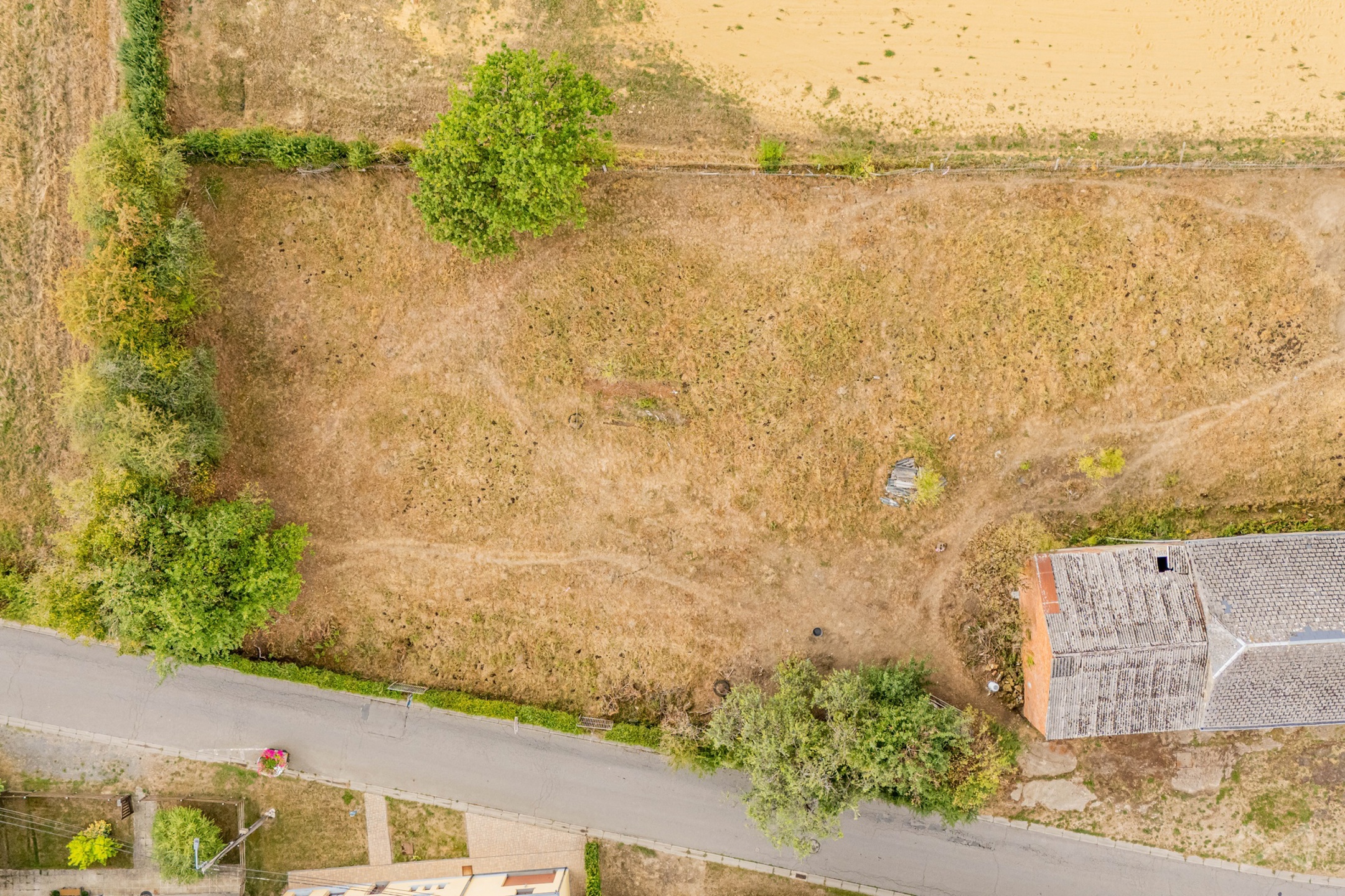 Land for sale in Habay - photo 5