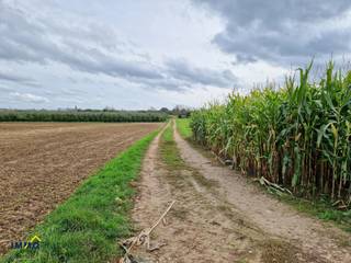 Perceel landbouwgrond te Voorde (Ninove)!Dit perceel heeft een totale oppervlakte van 6140m² en gelegen in landschappelijk waardevol agrarisch...