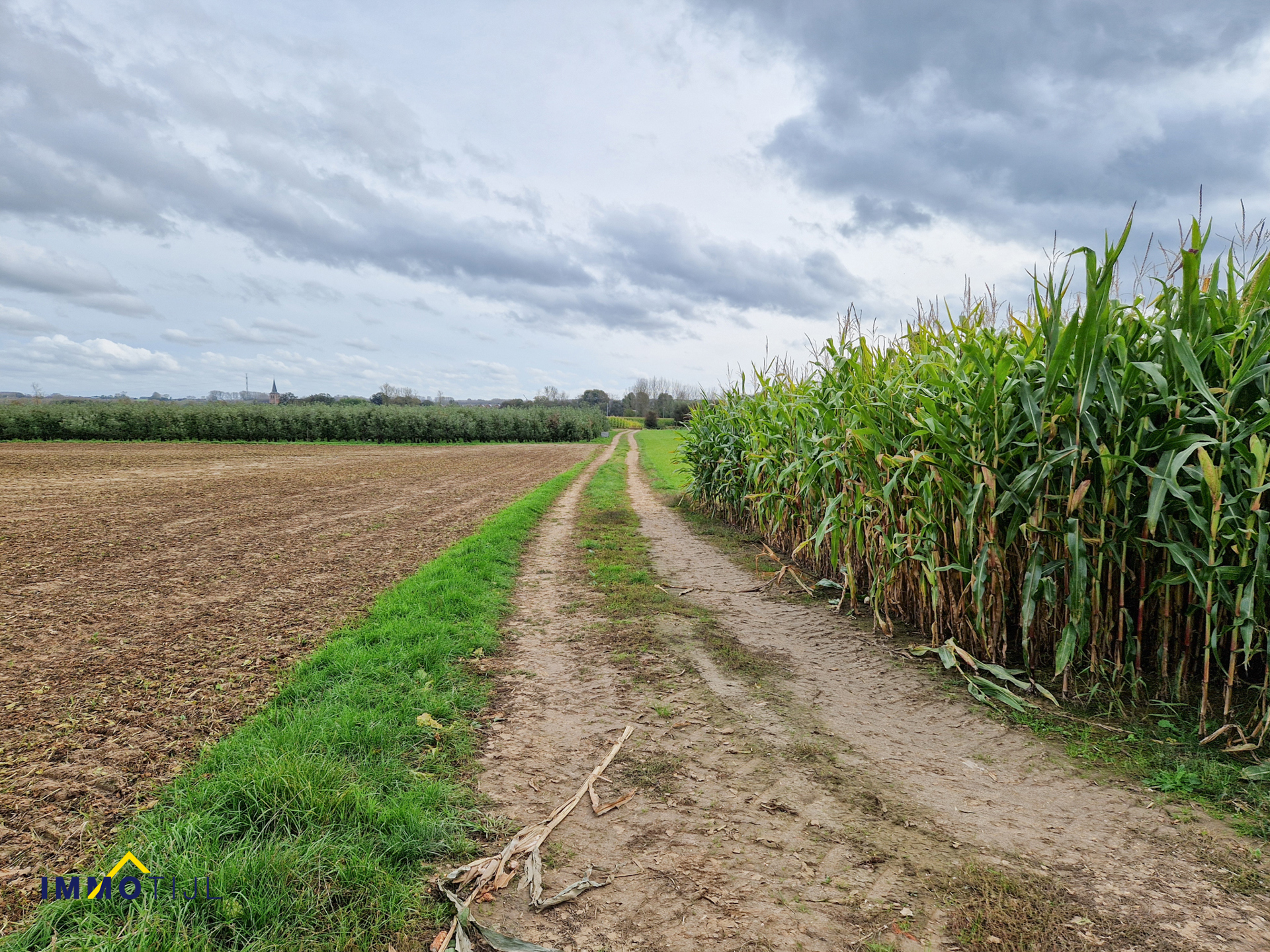 Perceel landbouwgrond te Voorde (Ninove)! - foto 2