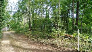 Rustig en residentieel gelegen bouwgrond van 15 are voor open bebouwing. Gelegen vlakbij golf-en meerdomein.<br />Zuid tot zuid-oost georiënteerd.<br />Maximum bebouwbare oppervlakte: 250m². <br />Afmetingen: circa 25m x 59m50.<br />Kroonlijsthoogte maximum 6m of 6m50 bij plat dak.<br />Maximaal 2 bewoonbare niveau's.<br />Goedgekeurde verkaveling. Geen bouwverplichting.<br />Opmetingskosten ten laste van koper.<br />Adres: Bollostraat rechts van nr. 13 (lot 1).<br />Plan en voorschriften op https://www.schoeters.be/portefeuille/detail.php?item=b&sorting=&ref=10599<br />Stedenbouwinfo: woonpark = residentieel woongebied - verkavelingsvergunning - geen voorkooprecht - geen rechterlijke herstelmaatregel of bestuurlijke maatregel opgelegd. Perceelscore A. Geen risicozone voor overstromingen