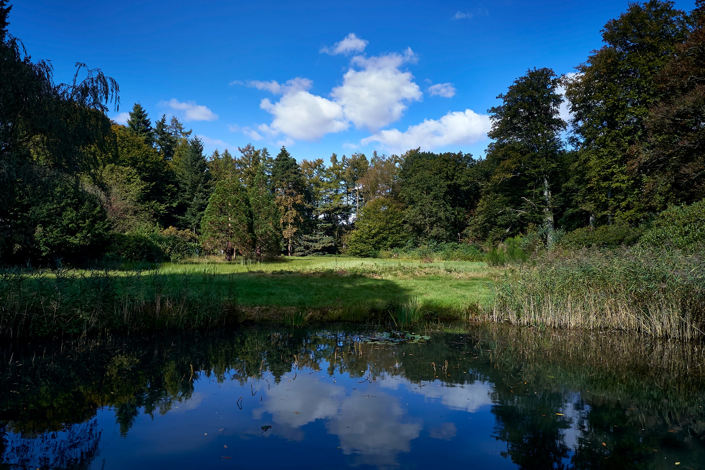 Land for sale in Brasschaat - photo 4