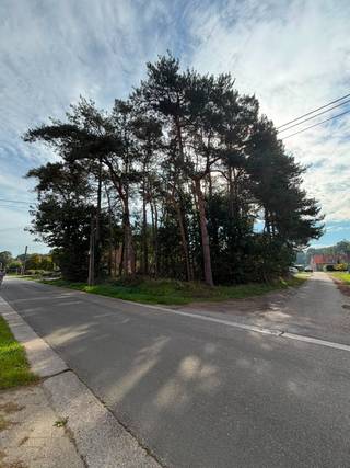 In een rustige en aangename straat in Langdorp vinden we deze bouwgrond voor halfopen bebouwing (lot 3) met een oppervlakte van 414m². De bouwgrond is centraal gelegen tussen Aarschot, Herselt en Westerlo.<br /><br />Het perceel beschikt over een zuidgerichte oriëntatie, waardoor u volop kunt genieten van natuurlijk licht en een zonnige tuin. De rustige ligging maakt dit een ideale locatie voor wie op zoek is naar een aangename woonomgeving en tegelijk een eigen woning naar wens wil realiseren. Een mooie opportuniteit voor wie zijn toekomstige thuis volledig naar eigen wensen wil vormgeven.<br /><br />Interesse? info@lotemvastgoed.be | 0475 52 00 14<br />Ook uw woning verkopen? info@lotemvastgoed.be<br />