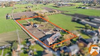 PUTTE – Exclusief landelijk domein met paddock paradise en opbrengstwoning op ca. 1,2 haDroomt u van rust, ruimte, paardenfaciliteiten én...