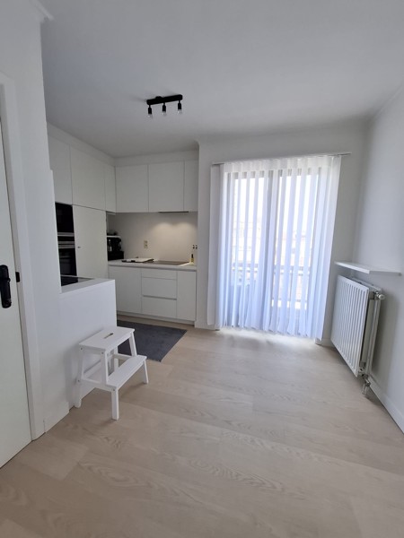 RUIM EN LICHTRIJK APPARTEMENT OP TOPLOCATIE - foto 4
