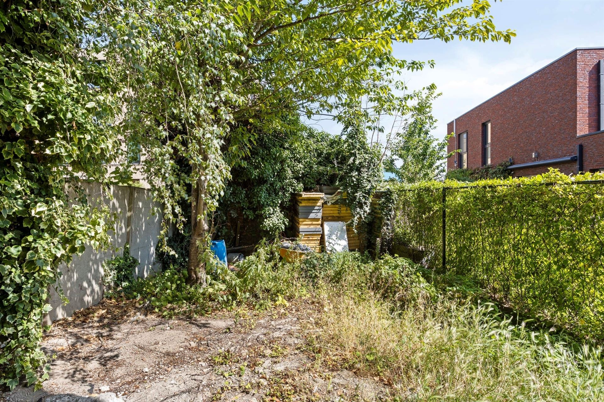 Commercial for rent in Deurne with 3 bedrooms - photo 4