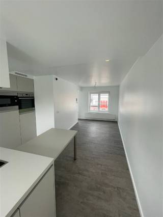 appartement rénové en duplex : séjour avec cuisine ouverte équipée, réfrigérateur, congélateur, four, micro-ondes, plaques de cuisson,...
