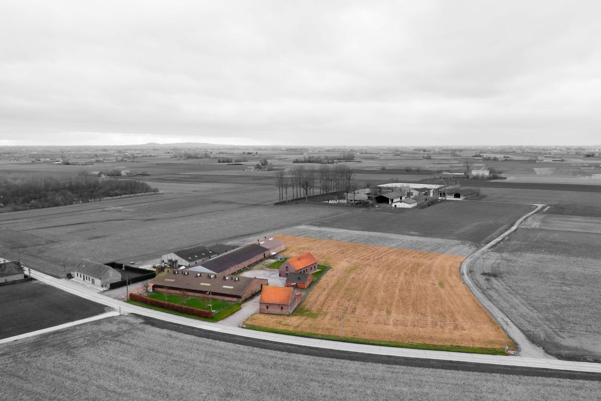 Varkensbedrijf te koop te Leisele - photo 2