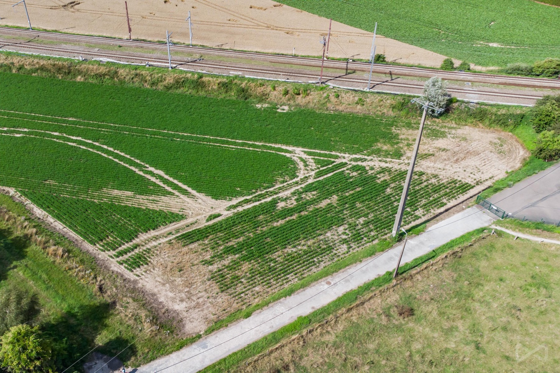 Land for sale in Waremme - photo 5