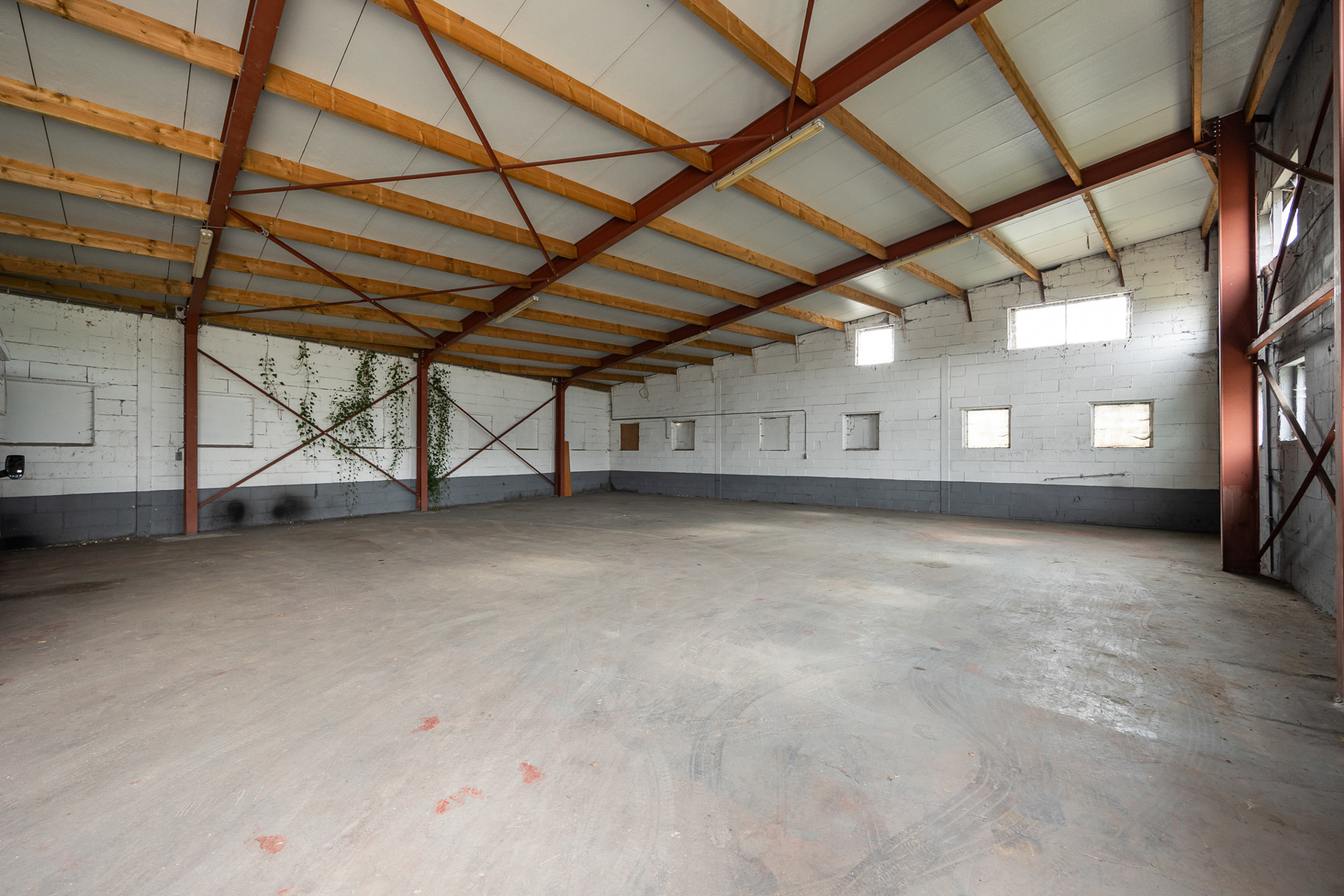 Woning met ruime garage en toonzaal op topligging in Lille - foto 3