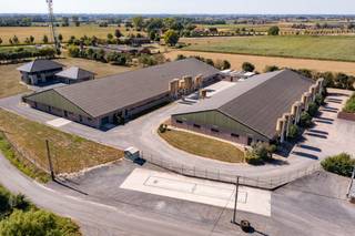 Gesloten varkensbedrijf met 235 zeugen en afmest te koop te KoekelareBetreft een zeer mooi en modern bedrijf met nieuwe woning, loods (bouwjaar...