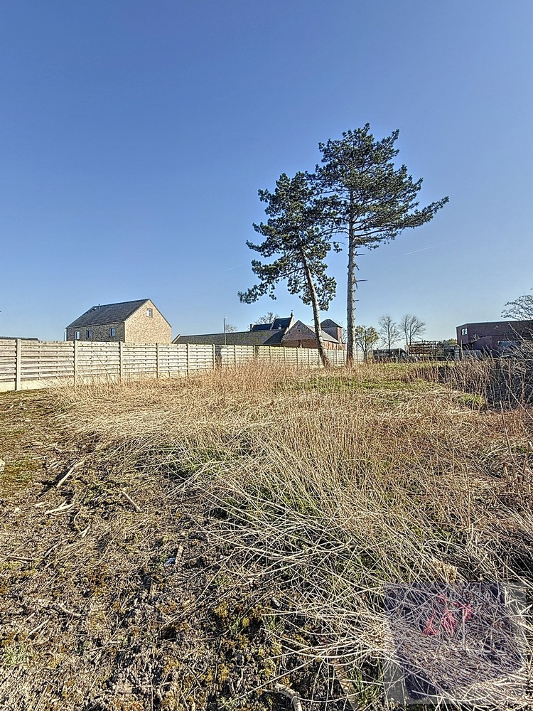 Land for sale in Rummen - photo 5