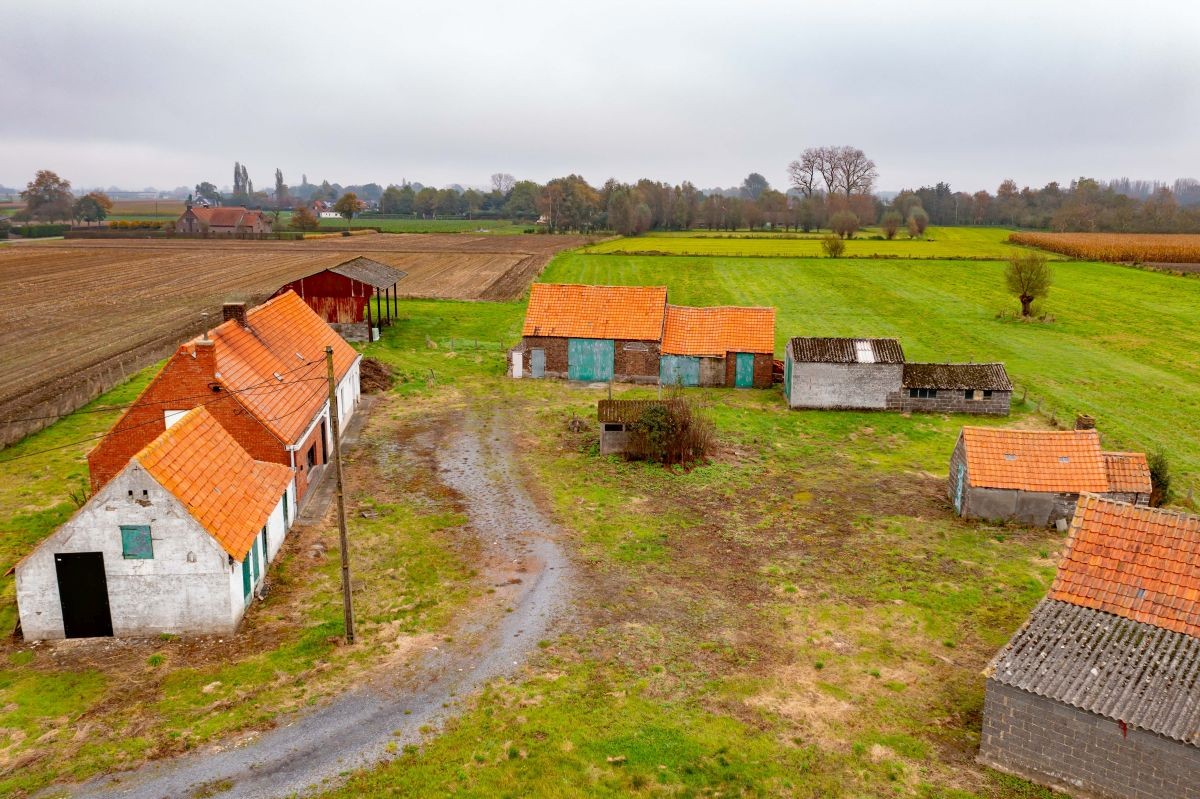 Hoevetje op 2 ha 67 are te koop te Kruisem - foto 5