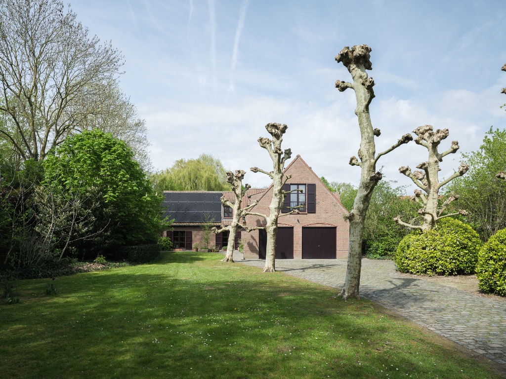 Bijzonder ruime en vrijstaande villa gelegen op een gunstig perceel van ca. 9.700 m² in Kruisem - photo 4
