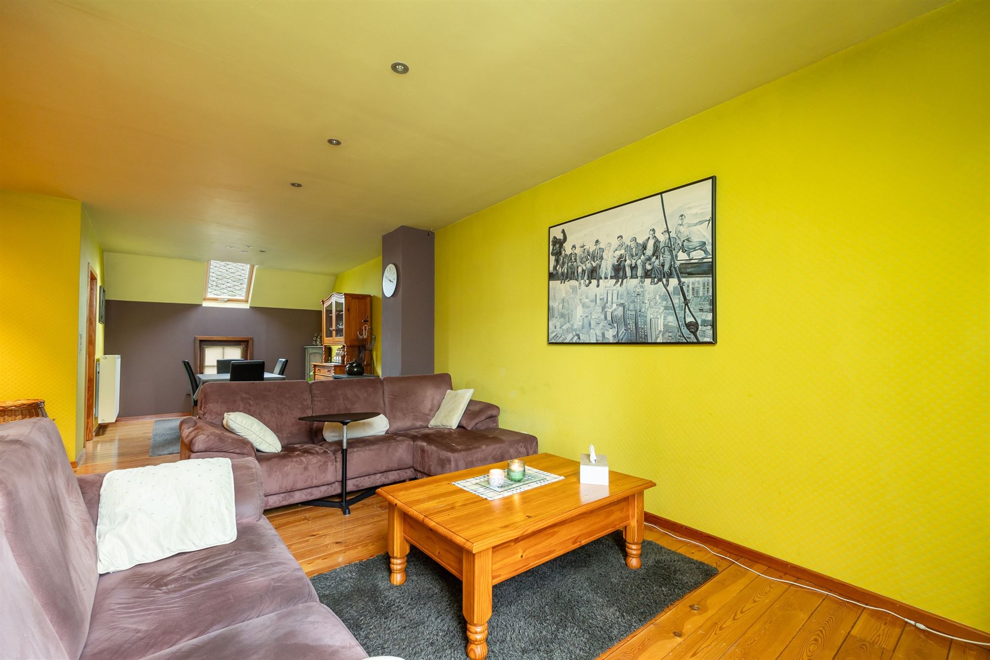 Ruime woonst, polyvalente ruimte, studio en garage - foto 3