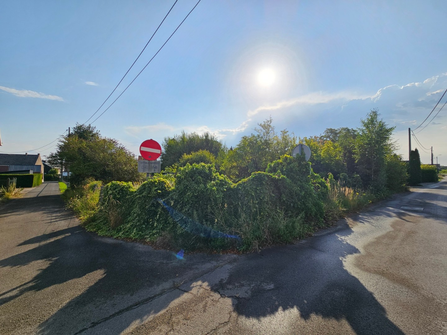 Grond te koop in Tildonk - foto 5