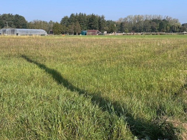 Lot 6 bouwgrond voor OB - foto 1