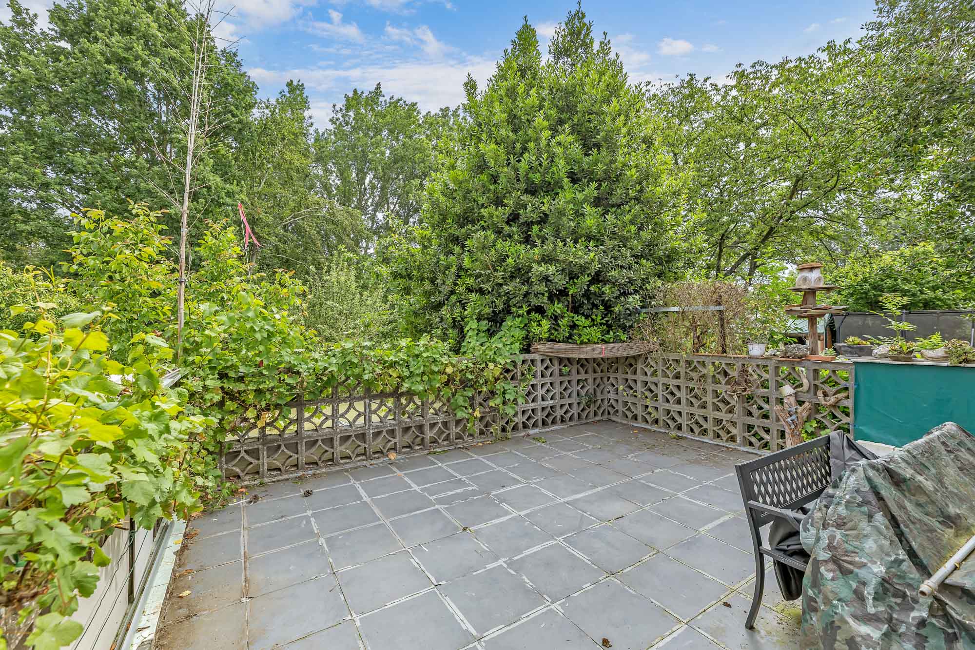 Ruime bungalow met uitzonderlijk potentieel op toplocatie - foto 4