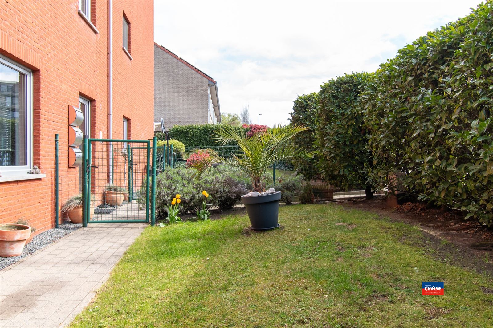 Gelijkvloersappartement - foto 4