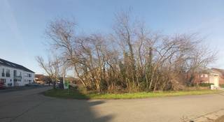 Terrain à vendre à Maasmechelen