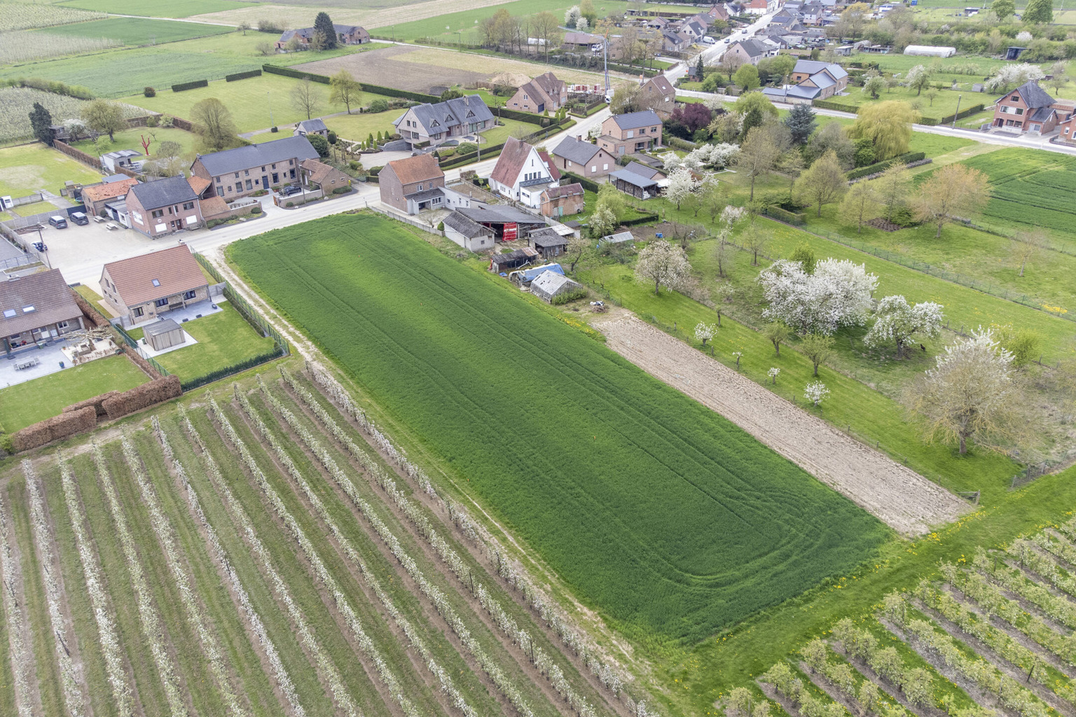 MOOI GELEGEN BOUWGRONDEN IN GLABBEEK  (LOT1) - foto 2