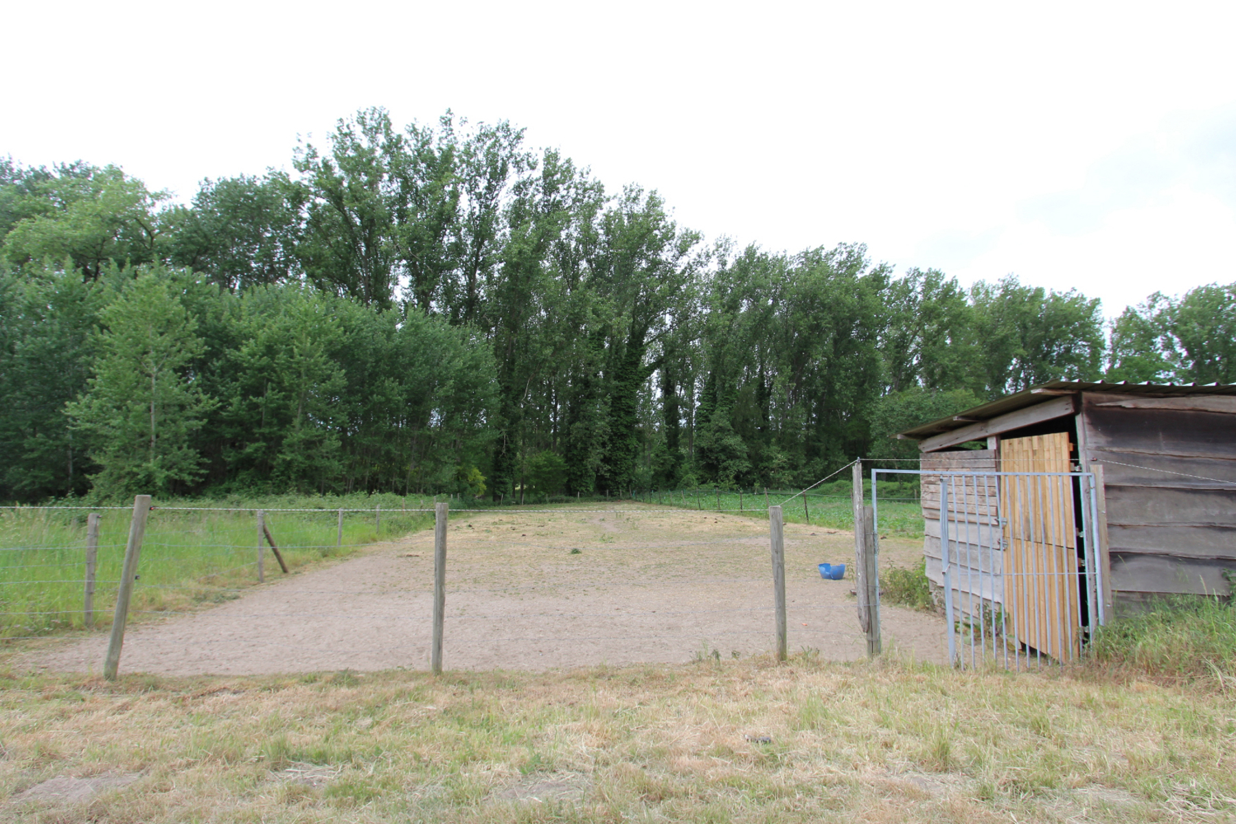 Perceel weide gelegen in woonuitbreidingsgebied te Wanzele - foto 1