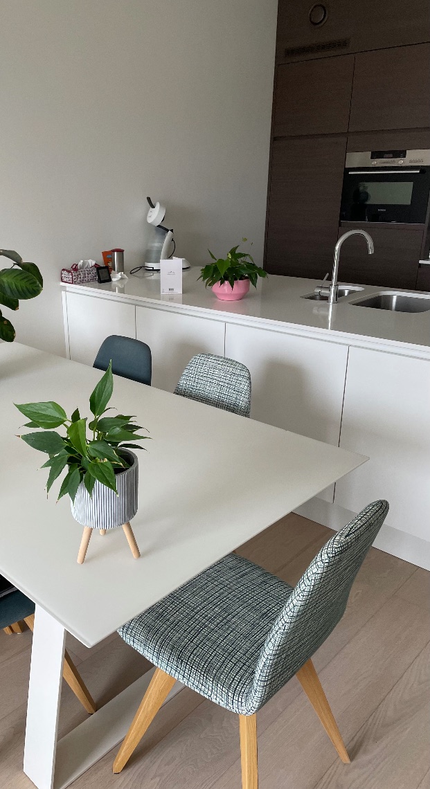 Appartement te koop in Sint-Michiels met 2 slaapkamers - foto 5