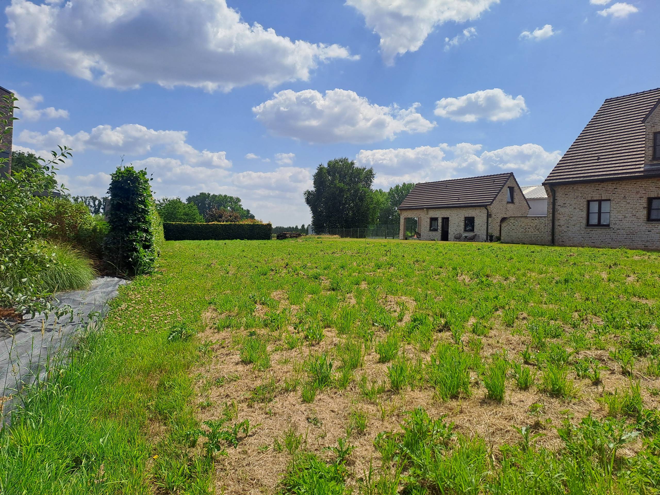 Land for sale in Ninove - photo 5