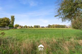 strong style="color: rgb(192, 8, 8); font-size: 18px;">Te renoveren/af te breken alleenstaande woning met bijgebouw op 615 m².Wie op...