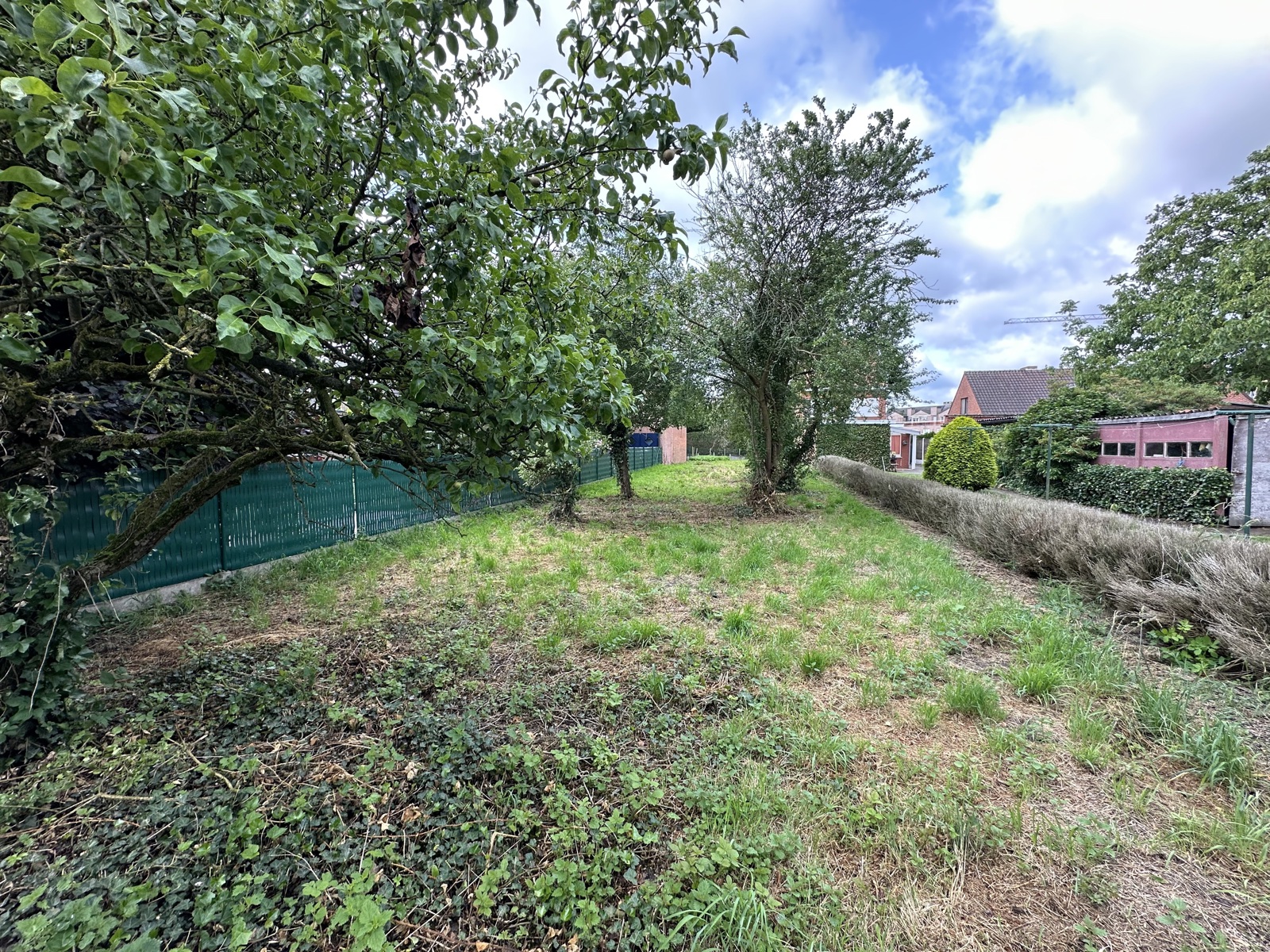 Bouwgrond 492m² - foto 4