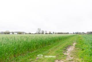 VALIMMAS verkoopt dit mooi gelegen perceel landbouwgrond te Baardegem. Oppervlakte: 51 are 50 ca (breedte ± 65m x diepte ± 80m). Gewestplan:...