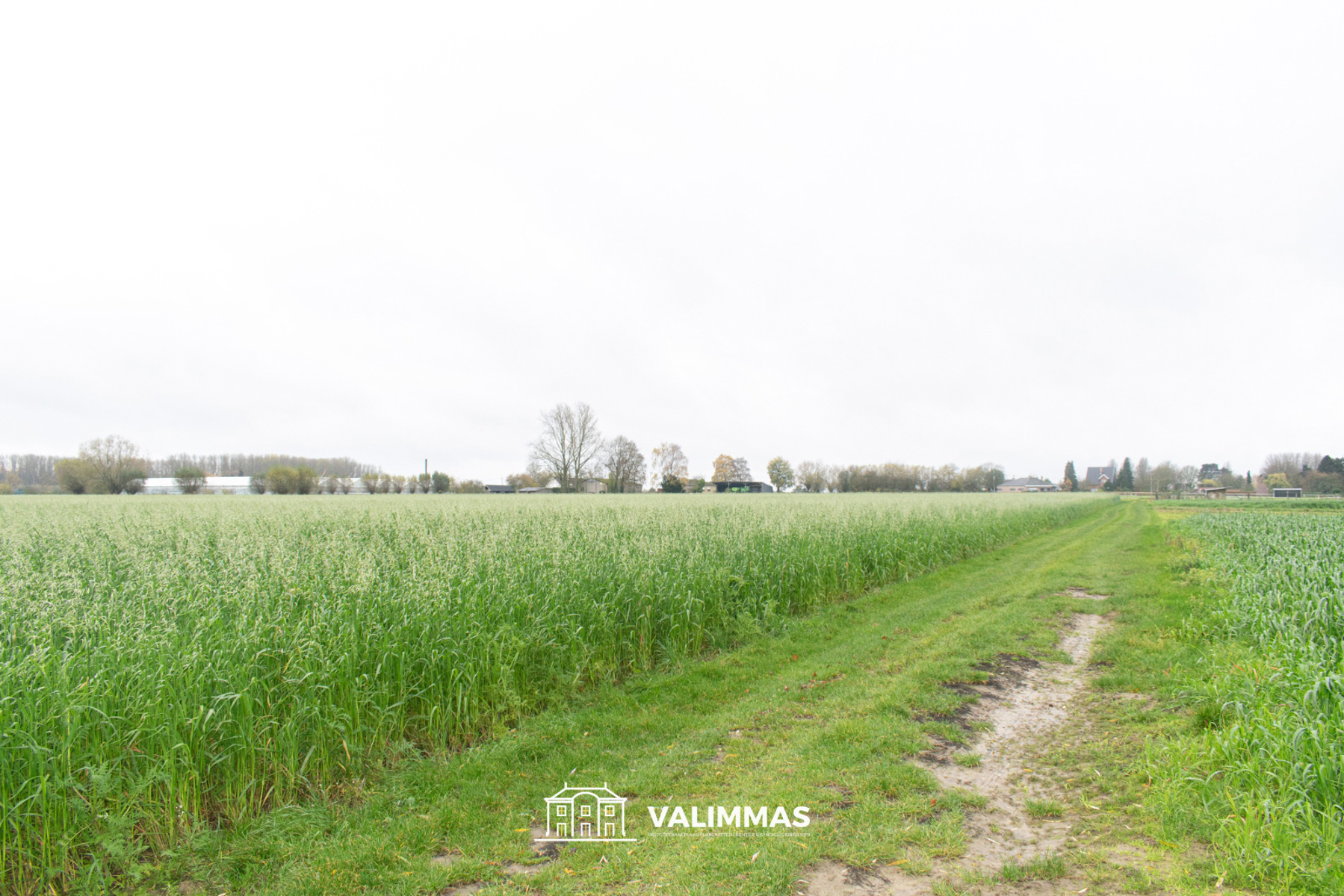 Mooi gelegen landbouwgrond, ± 51 are - foto 1