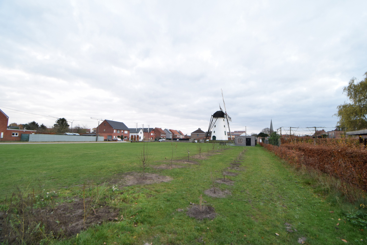 Maison à vendre à Gierle avec 3 chambres - photo 4