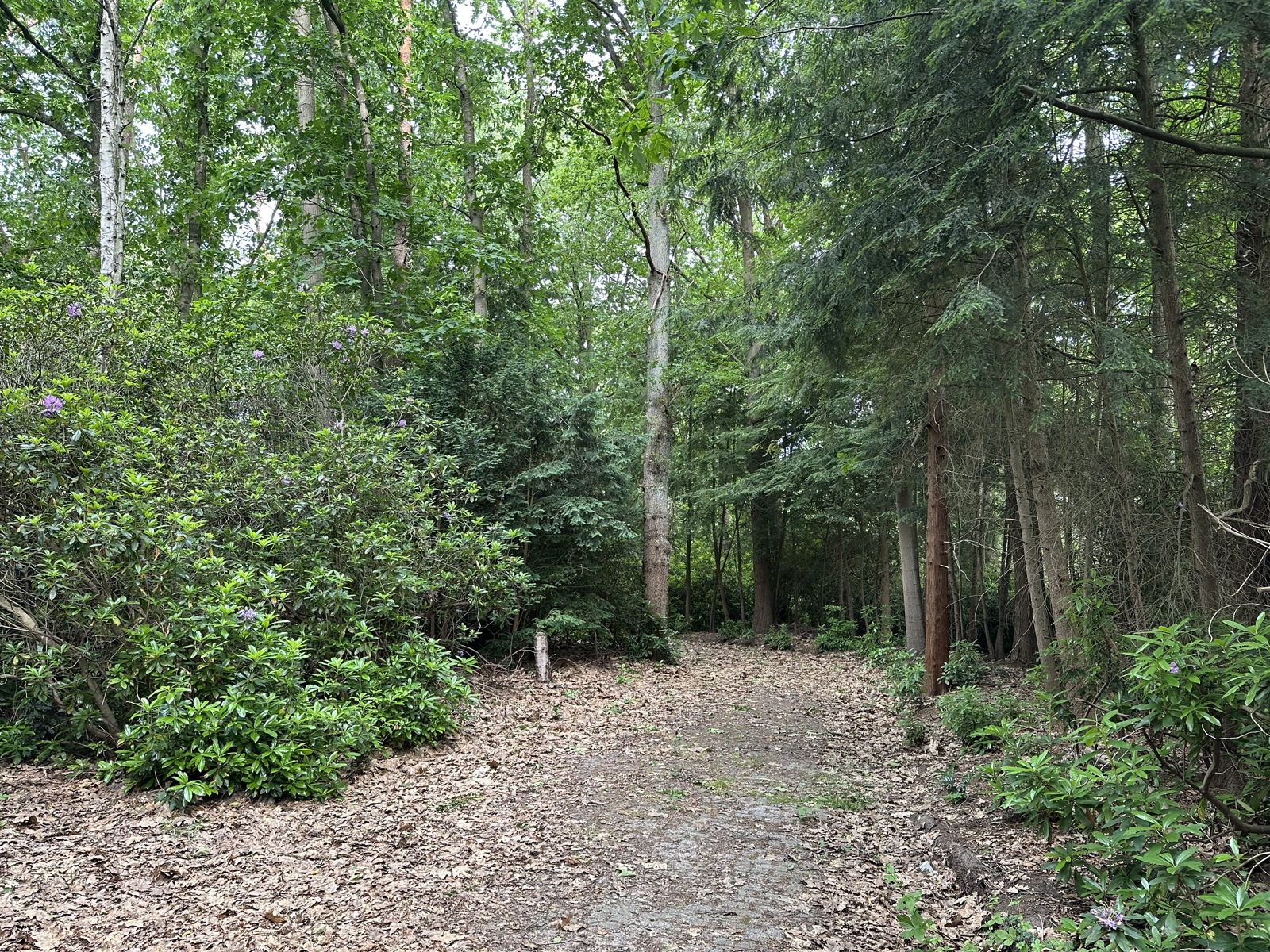 Prachtig villaperceel in Kapellenbos! - foto 4