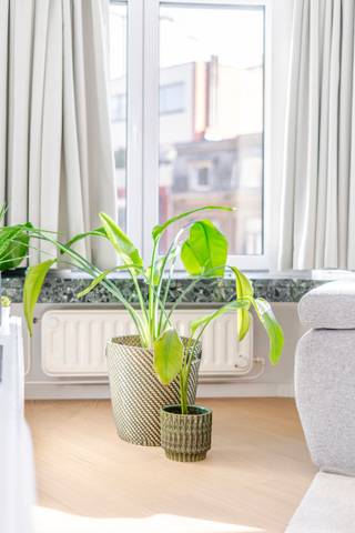 <p>Ruim appartement in het centrum van Antwerpen, met alles binnen handbereik.</p>
<p>Dit appartement combineert een centrale ligging met een aangenaam wooncomfort en een verrassend ruime indeling. Gelegen in de Congresstraat woon je hier vlak bij winkels, openbaar vervoer, horeca en alle dagelijkse voorzieningen. De lichtrijke leefruimte en praktische indeling maken dit appartement bijzonder aangenaam om in te wonen. Dankzij de extra bureauruimte is thuiswerken perfect mogelijk. De perfecte mix van stad en comfort zorgt hier voor een vlotte en ontspannen woonervaring.</p>
<p>Belangrijkste ruimtes:<br />• Ruime woonkamer met veel lichtinval<br />• Functionele keuken uitgerust met oven, elektrische kookplaat, dampkap, koelkast, diepvries, vaatwasser en ingemaakte kasten<br />• 1 comfortabele slaapkamer<br />• Praktisch bureel geschikt als thuiswerkplek, hobbyruimte of als 2e slaapkamer.<br />• Badkamer met ligbad, douche en dubbele wastafel<br />• Berging met aansluiting voor wasmachine en droogkast<br />• Apart toilet<br />• Inkomhal met vlotte toegang tot de verschillende ruimtes</p>
<p>Troeven:<br />• Centrale ligging in Antwerpen met alles binnen handbereik<br />• Zeer ruim appartement met praktische indeling<br />• Ideale combinatie van stadsleven en wooncomfort</p>
<p>Neem vandaag nog contact op voor meer informatie of een bezoek. JOUW DROOMAPPARTEMENT. ZO GEVONDEN!</p>