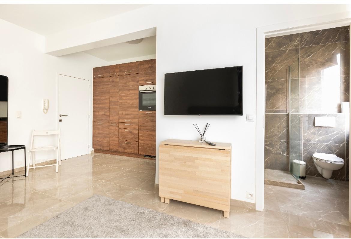 Gerenoveerde studio - photo 3