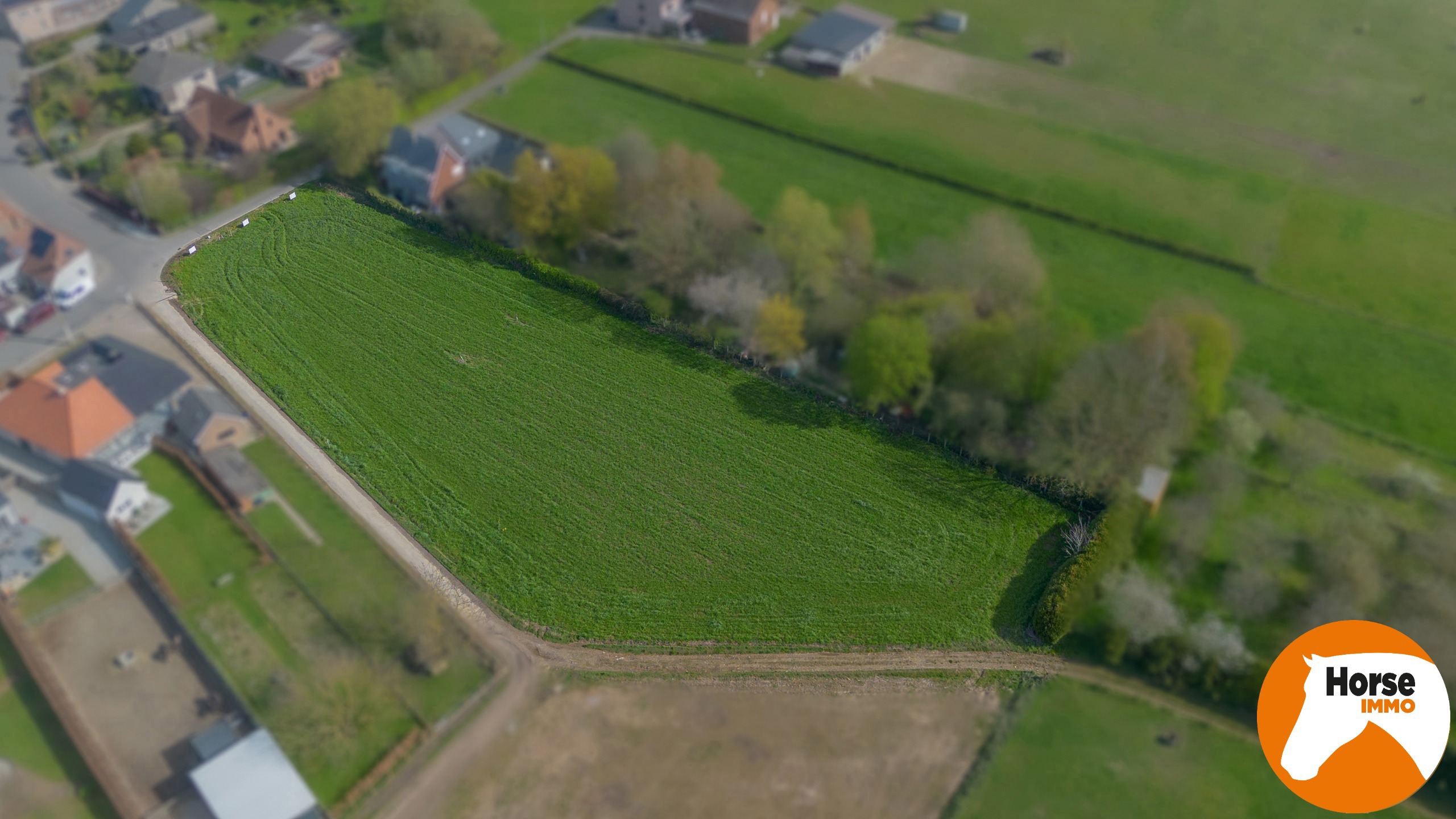 NIEUWERKERKEN - Uniek gelegen bouwgrond op 42a voor OB - foto 4