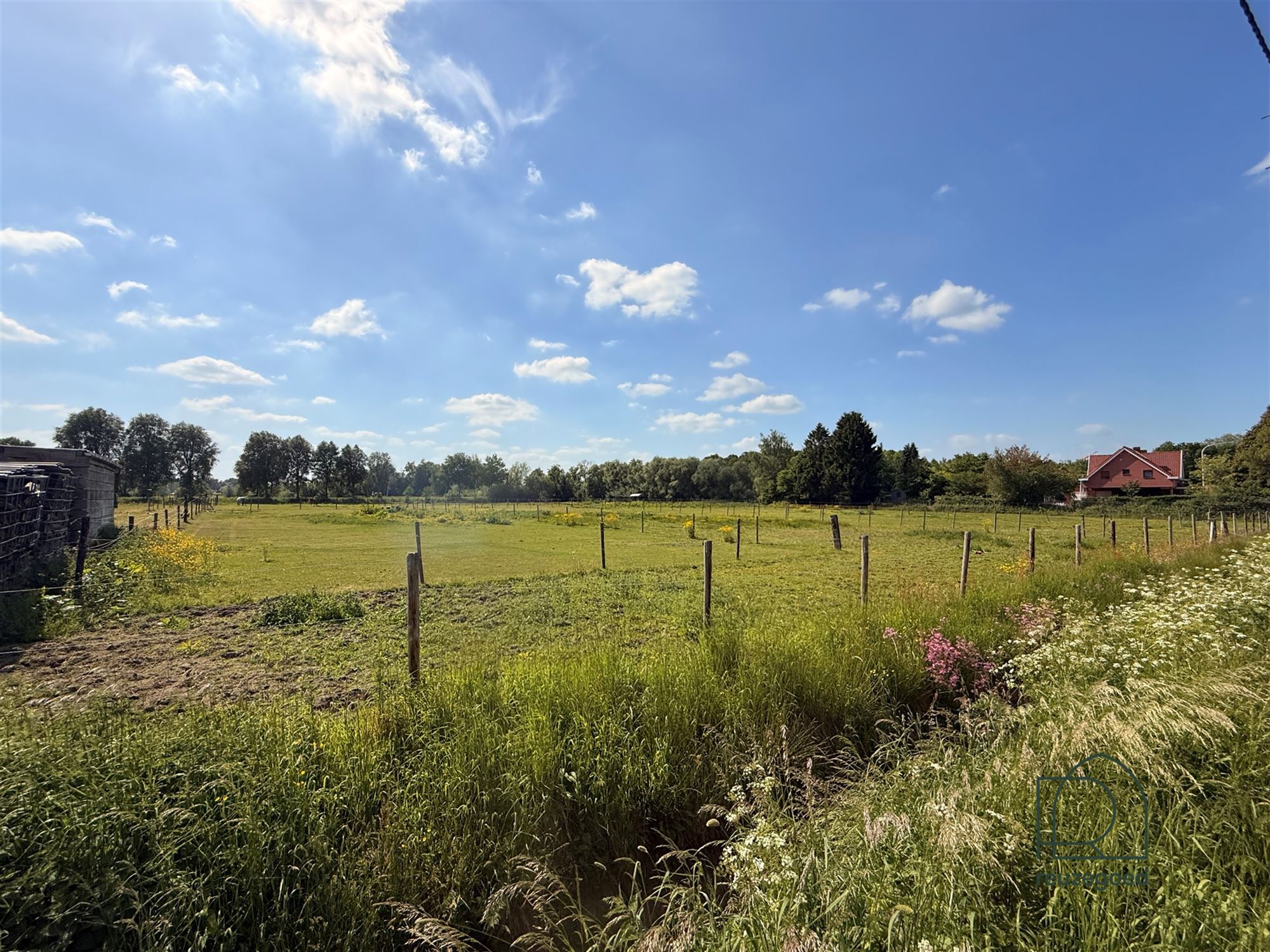 Landbouwgrond in Boortmeerbeek - paardenweide - 2,5 ha - foto 4