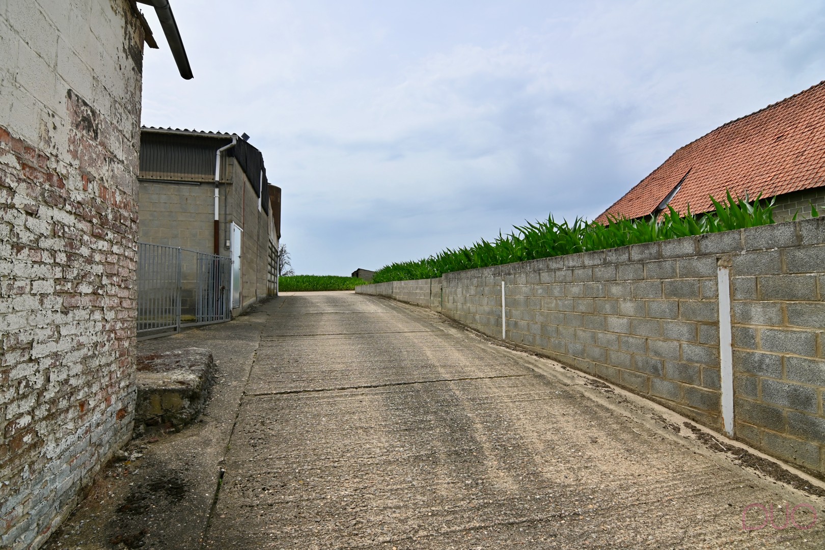 Hoevewoning op een perceel van 69a20ca met een veestal van 391m2 en een open schuur van 355m2 - foto 5