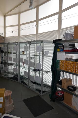 Met een gevelbreedte van 12 meter valt dit winkelpand héél mooi op, het is gelegen in het toeristisch deel van Brugge centrum:...