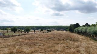 Prachtig gelegen bouwgrond zonder bouwverplichtingen.<br /><br />Het perceel heeft een praktische, rechthoekige vorm en beschikt over een uitweg aan de achterzijde.<br />Het grote perceel maakt deze eigendom bijzonder interessant voor dierenliefhebbers en voor wie droomt van ruimte, rust en groen rondom de woning.<br /><br />Hier geniet u van een landelijke en rustige omgeving, terwijl er tegelijkertijd een zeer goede verbinding is richting het binnenland en de kust.<br /><br />Recent werd een omgevingsvergunning verkregen voor het bouwen van een eengezinswoning.<br /><br />Troeven:<br />Rechthoekig en praktisch perceel<br />Uitweg aan de achterzijde<br />Rustige, landelijke ligging<br />Geen bouwverplichting<br /><br />Meer informatie of interesse?<br />Neem contact op met Andries De Leyn via 0472 53 66 09.