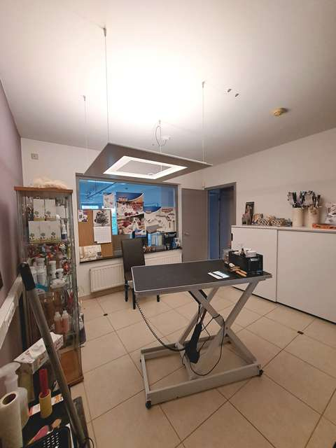 Instapklaar handelspand met polyvalente ruimtes te huur in Loppem Zedelgem - foto 5